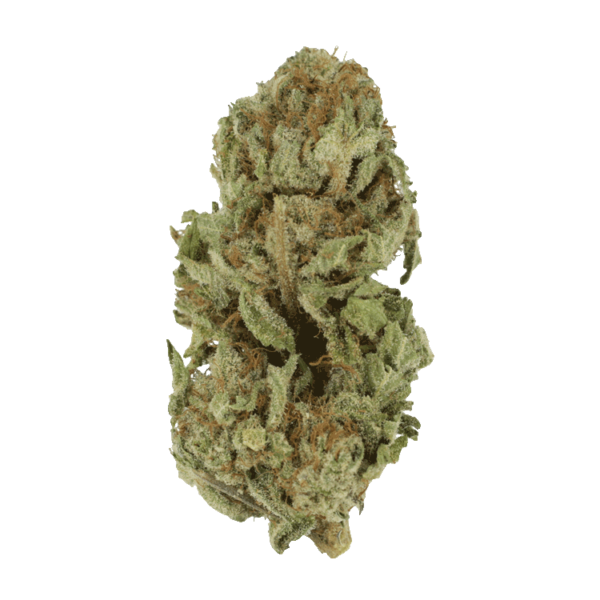 Golden Goat | Kush Station Canada