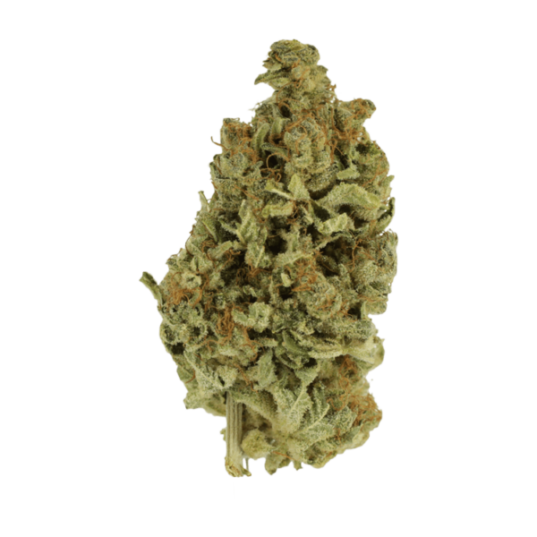 Cali Gold | Kush Station Canada