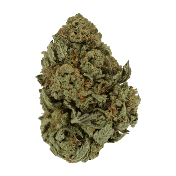 Master Kush Ultra | Kush Station Canada