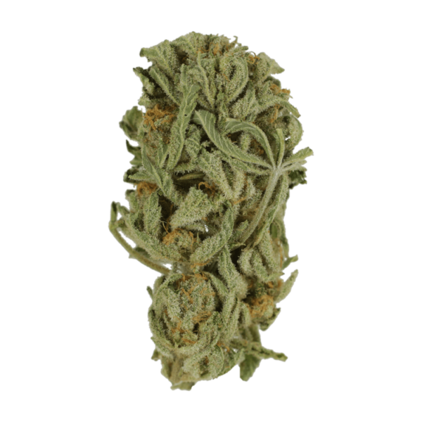 Master Kush Ultra | Kush Station Canada