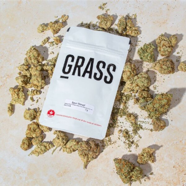 1/2OZ Sample Pack (AAA) – SAVE 20% | Kush Station Canada