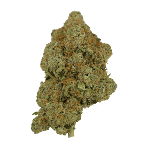 Tropicana Cookies | Kush Station Canada