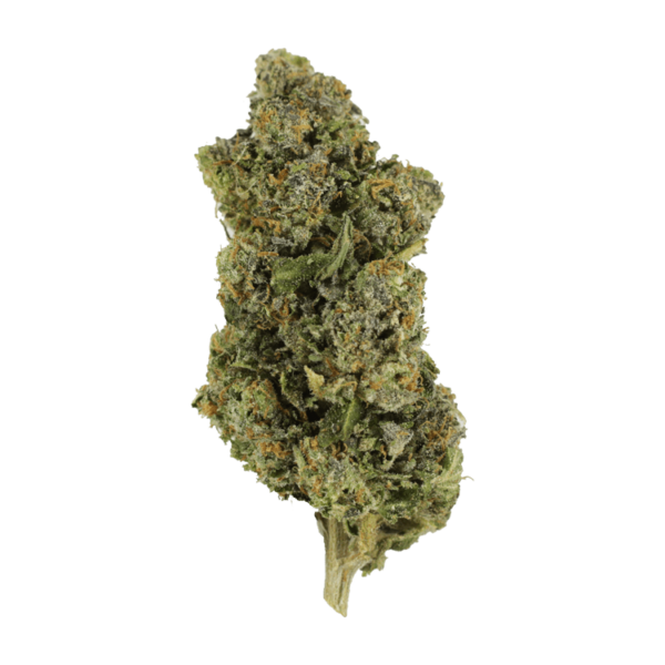 Jokerz | Kush Station Canada