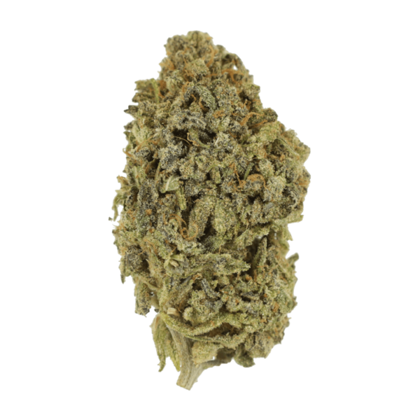 Watermelon Gelato | Kush Station Canada