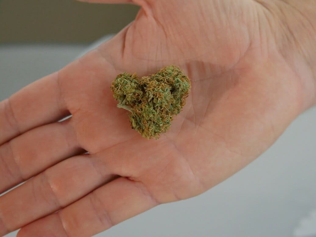 cannabis marijuana Canada | Kush Station Canada