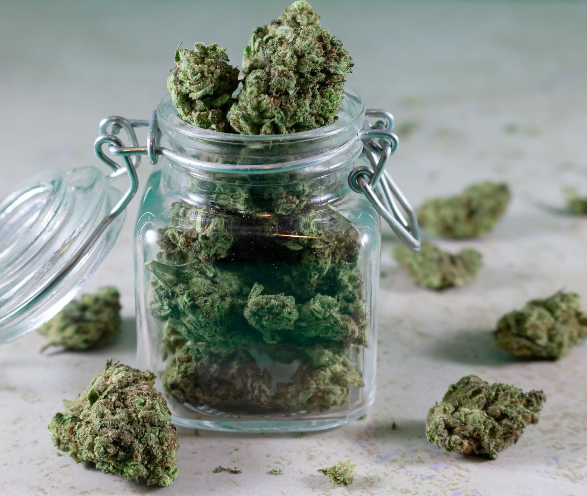 Grasslife - cannabis Dispensaries | Kush Station Canada