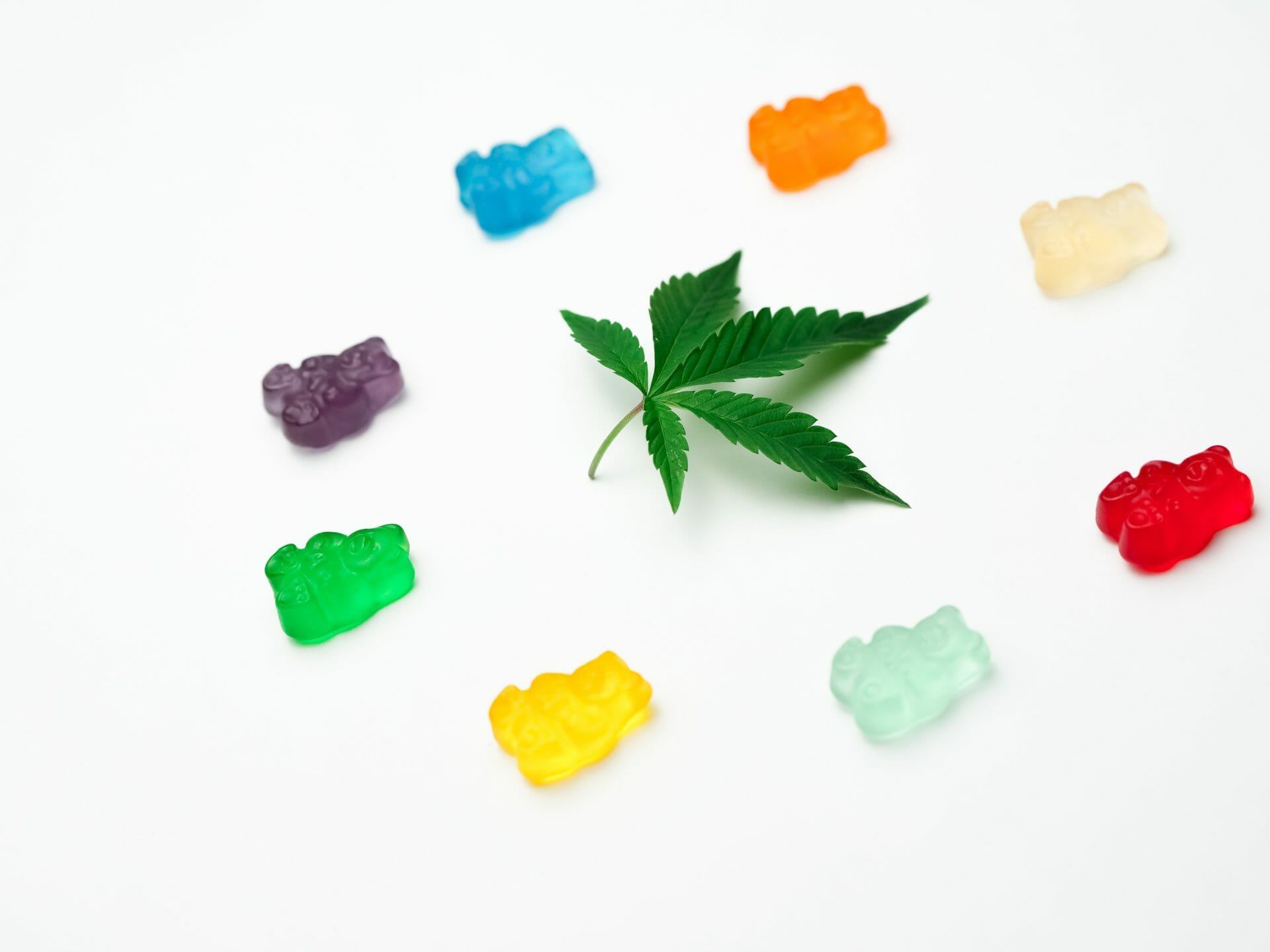 Grasslife - cannabis Dispensaries | Kush Station Canada