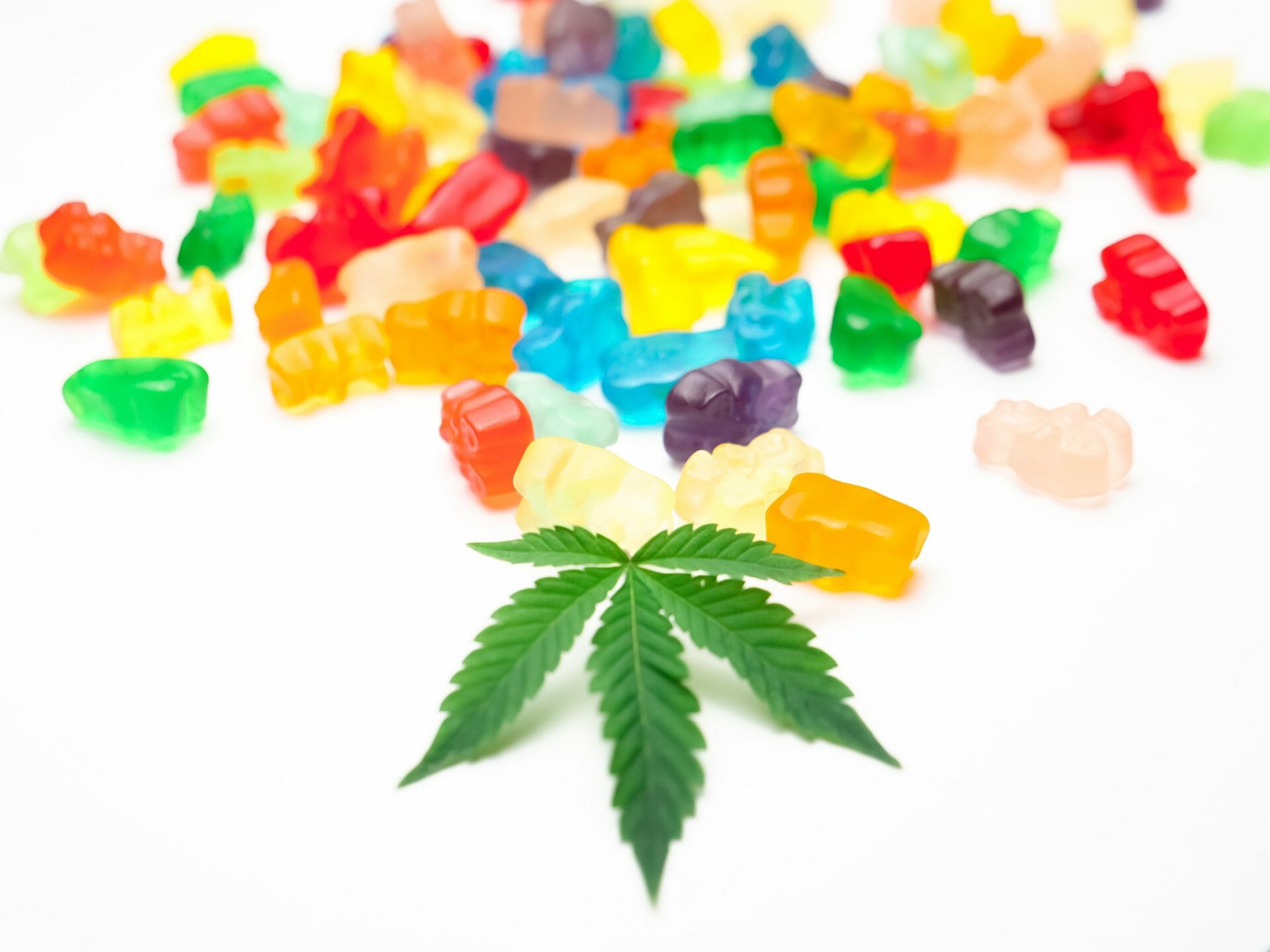 Weed Gummy | Kush Station Canada